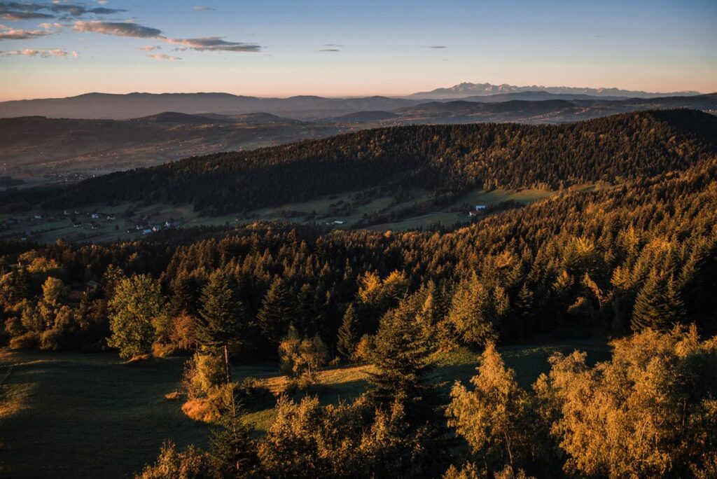 wieza widokowa na jaworzu